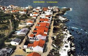 Mostaganem - Salamandre - Vue aerienne
